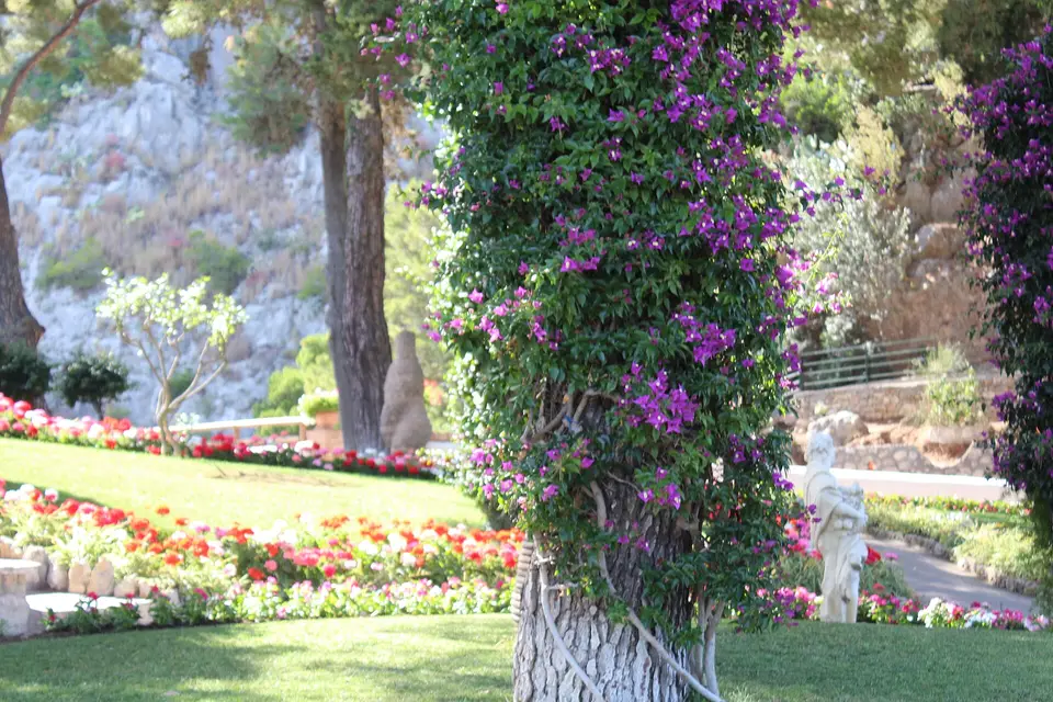 The Gardens of Augustus in bloom.
